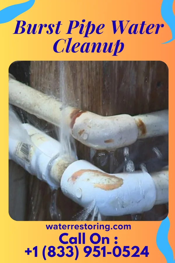 Burst Pipe Water Cleanup in Absecon Highlands, NJ