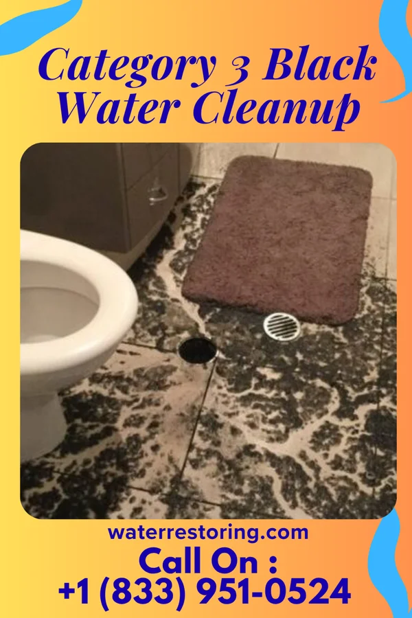 Category 3 Black Water Cleanup in Absecon Highlands, NJ