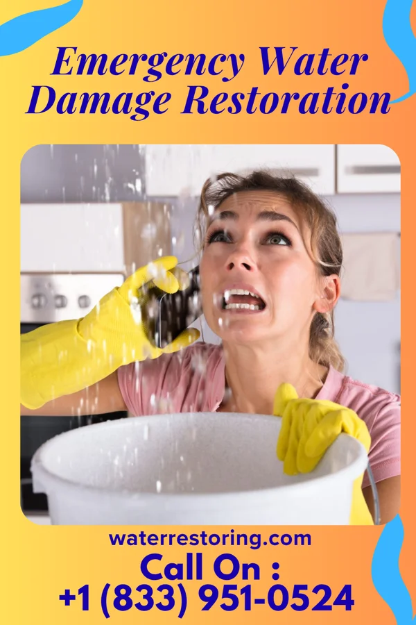 Emergency Water Damage Restoration in Absecon Highlands, NJ