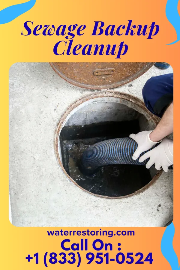 Sewage Backup Cleanup in Absecon Highlands, NJ